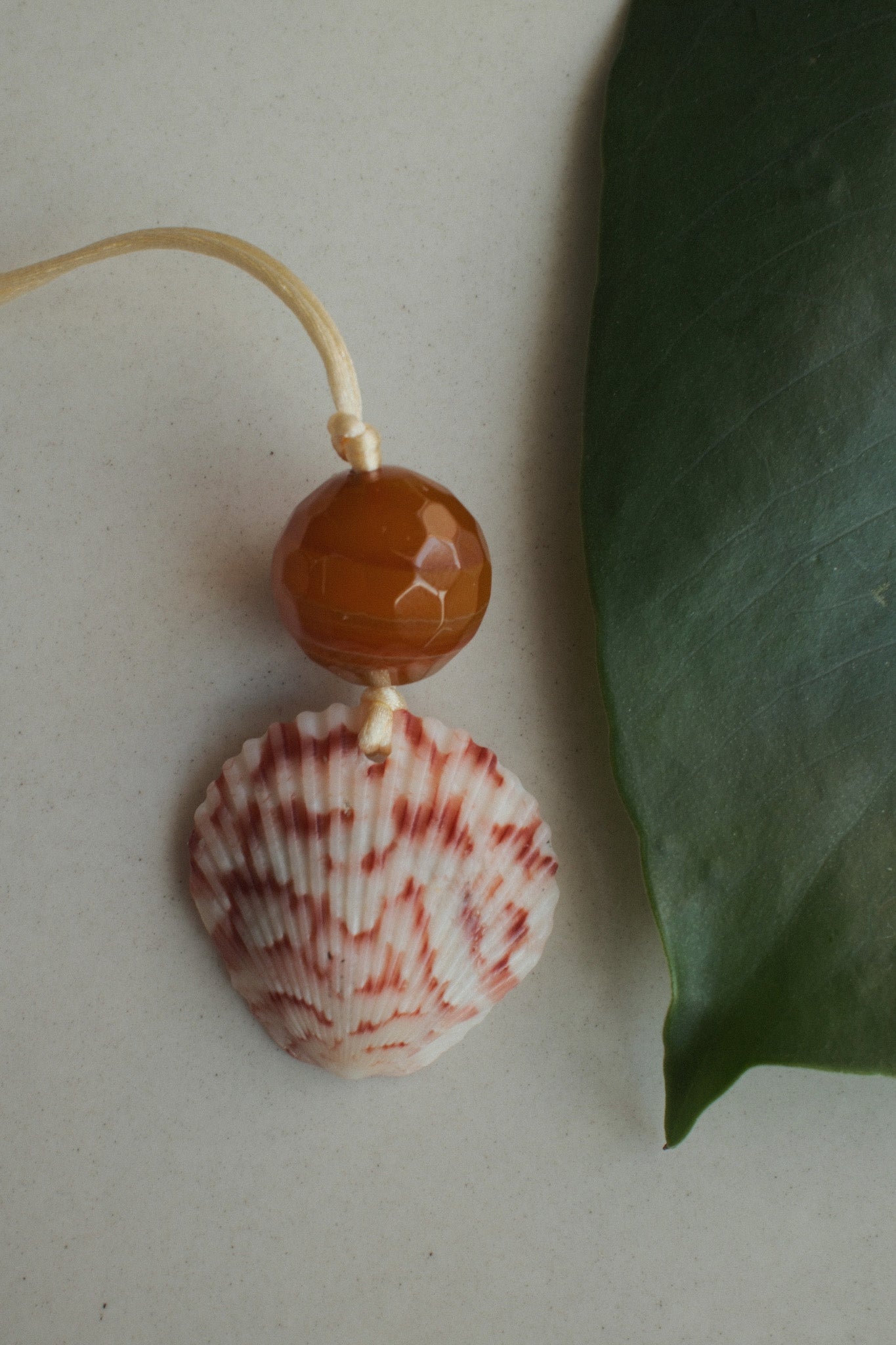 COQUILLAGE CHOKER